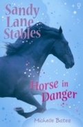 Cover: Horse in Danger - Usborne Publishing Ltd