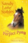 Cover: Perfect Pony - Usborne Publishing Ltd