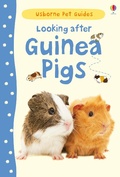 Cover: Looking after Guinea Pigs - Usborne Publishing Ltd