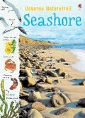 Cover: Seashore - Usborne Publishing Ltd