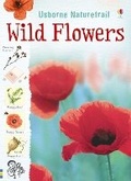 Cover: Wild Flowers - Usborne Publishing Ltd