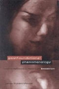 Cover: Postfoundational Phenomenology - Pennsylvania State University Press