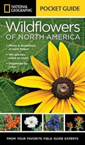Cover: National Geographic Pocket Guide to Wildflowers of North America - National Geographic Society