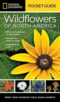 Abbildung von: National Geographic Pocket Guide to Wildflowers of North America - National Geographic Society
