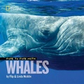Cover: Face to Face With Whales - National Geographic Society