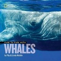 Cover: Face to Face with Whales - National Geographic Kids