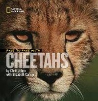 Enlarge image Cover: Face to Face With Cheetahs - National Geographic Kids
