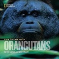 Cover: Face to Face with Orangutans - National Geographic Kids