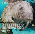 Cover: Face to Face with Manatees - National Geographic Kids
