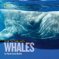 Cover: Face to Face with Whales - National Geographic Kids