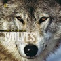 Cover: Face to Face with Wolves - National Geographic Kids