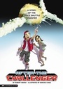 Cover: After the Challenger - Stone Arch Books