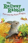 Cover: Railway Rabbits: Fern and the Fiery Dragon - Orion Children's Books