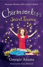 Cover: The Secret Treasure - Orion Children's Books