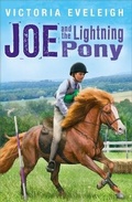 Cover: The Horseshoe Trilogy: Joe and the Lightning Pony - Orion Children's Books