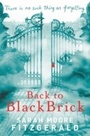 Cover: Back to Blackbrick - Orion Children's Books (an Imprint of The Orion Publishing Group Ltd )