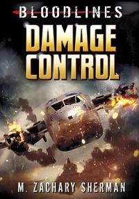 Enlarge image Cover: Damage Control - Stone Arch Books