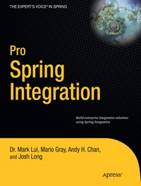 Enlarge image Cover: Pro Spring Integration - APress
