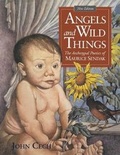 Cover: Angels and Wild Things - Pennsylvania State University Press