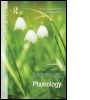 Cover: Understanding Phonology - Routledge