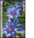Cover: Understanding Syntax - Hodder Education