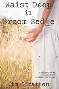 Cover: Waist Deep in Broom Sedge - iUniverse