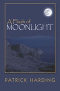 Cover: A Flash of Moonlight - America Star Books