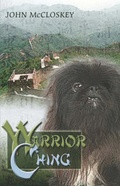 Cover: Warrior Ching - Publish America