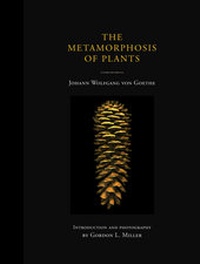 Abbildung von: The Metamorphosis of Plants - MIT Press
