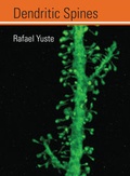 Cover: Dendritic Spines - MIT Press
