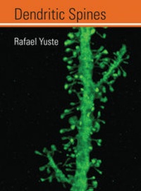 Enlarge image Cover: Dendritic Spines - MIT Press
