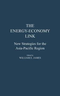 Enlarge image Cover: The Energy-Economy Link - Praeger Publishers Inc