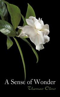 Abbildung von: A Sense of Wonder - iUniverse