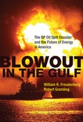 Cover: Blowout in the Gulf - MIT Press