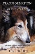 Cover: Transformation of the Heart - iUniverse
