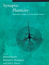 Abbildung von: Synaptic Plasticity - MIT Press