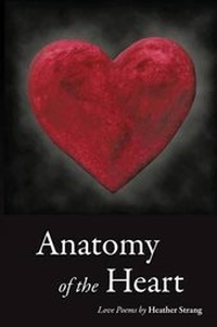 Enlarge image Cover: Anatomy of the Heart - iUniverse.com