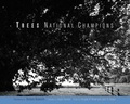 Cover: Trees - MIT Press