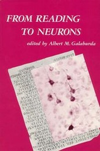 Abbildung von: From Reading to Neurons - MIT Press