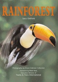 Cover: Rainforest - MIT Press