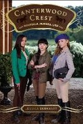 Cover: Scandals, Rumors, Lies: Volume 11 - Simon & Schuster