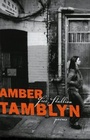 Cover: Free Stallion - Simon & Schuster Books for Young Readers