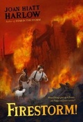 Cover: Firestorm! - Margaret K. McElderry Books