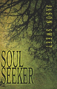 Enlarge image Cover: Soul Seeker - America Star Books