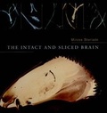 Cover: The Intact and Sliced Brain - Bradford Books