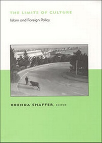 Enlarge image Cover: The Limits of Culture - MIT Press