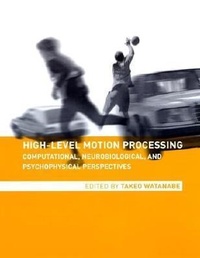 Abbildung von: High-Level Motion Processing - MIT Press