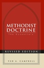Cover: Methodist Doctrine - Abingdon Press