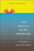 Cover: The Really Hard Problem - Bradford Books