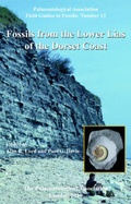 Cover: Fossils from the Lower Lias of the Dorset Coast - Wiley-Blackwell